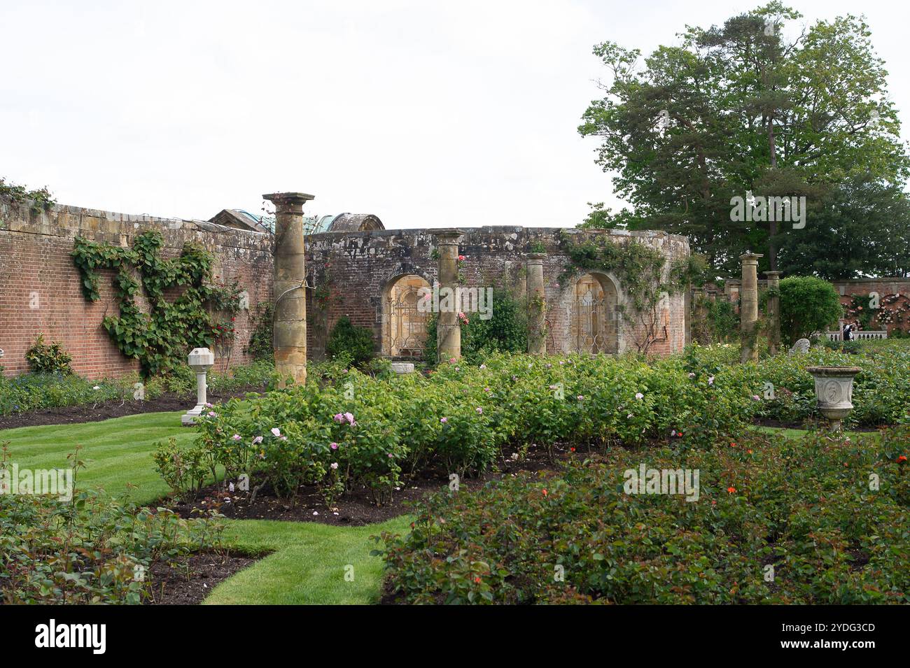 Hever, Großbritannien. Mai 2024. Hever Castle und die wunderschönen Gärten in Kent. Die Geschichte von Hever Castle erstreckt sich über mehr als 600 Jahre und ist reich und vielfältig. Die ursprüngliche mittelalterliche Wehrburg mit ihrem Torhaus und der ummauerten Vorburg wurde 1383 erbaut. Im 15. Und 16. Jahrhundert war es die Heimat einer der mächtigsten Familien des Landes, der Boleyns, die die bestehende Wohnung innerhalb der Mauern modernisierten. Kredit: Maureen McLean/Alamy Stockfoto