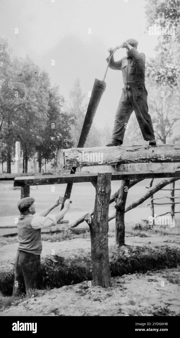 Vintage-Schwarzweiß-Foto von zwei sägemaschinen, die Holz mit einer Pitsäge/Peitsche/Zweimannsäge über einer Säge sägen, um Bretter/Balken herzustellen Stockfoto