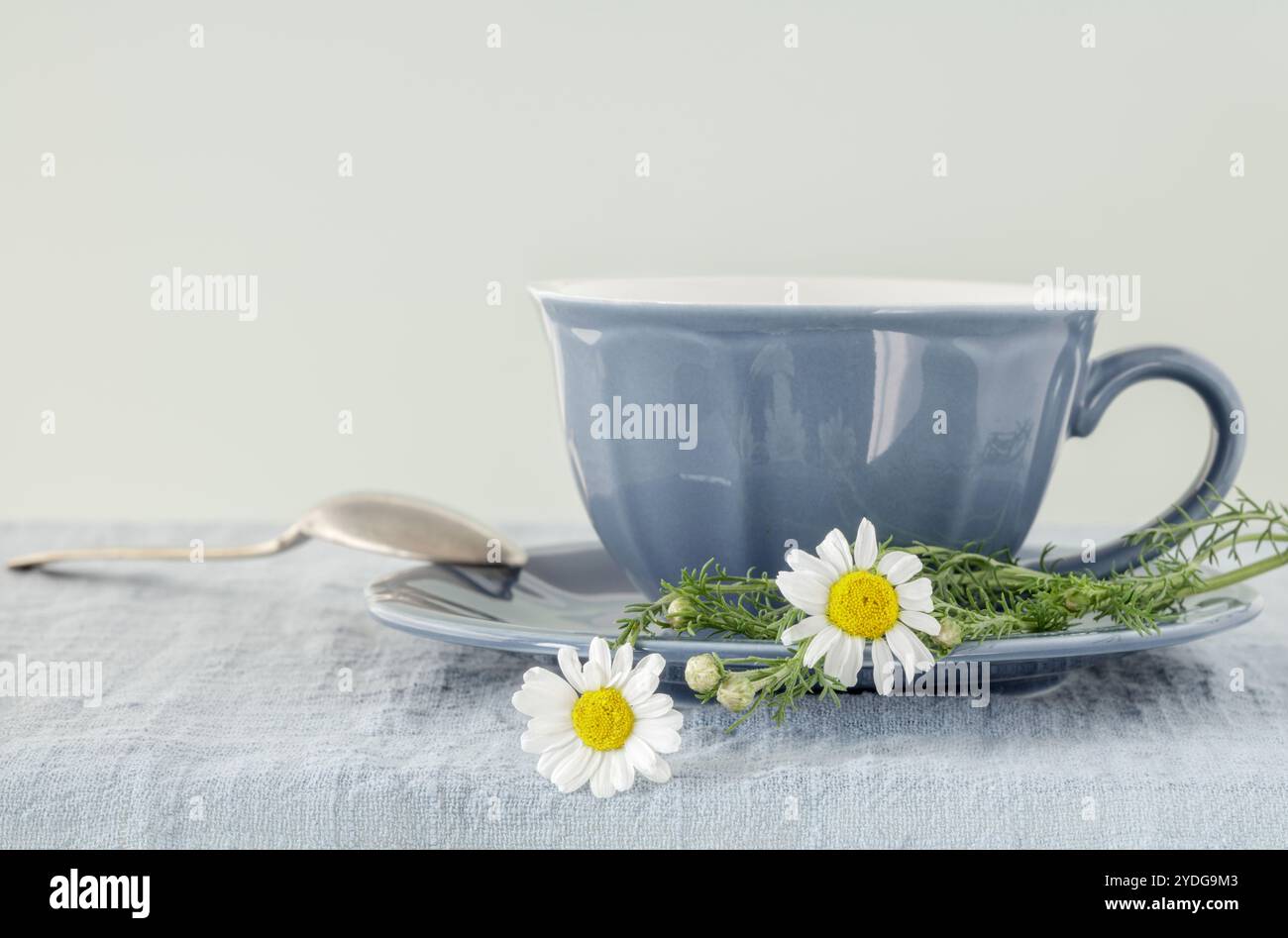 Nahaufnahme einer blauen Tasse und Untertasse mit frischen Kamillenblüten mit Kopierraum Stockfoto
