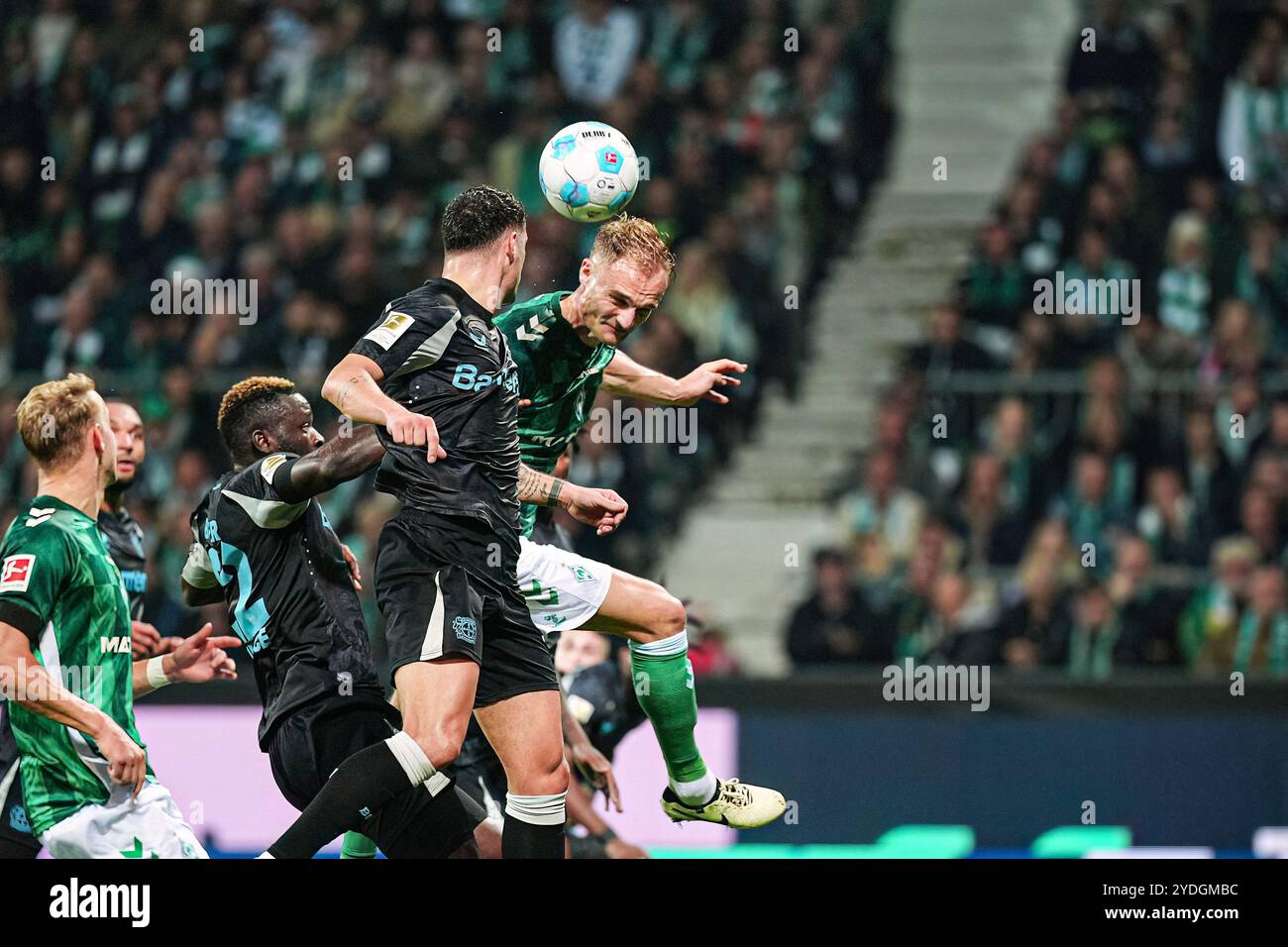 Torschuss/Torchance per Kopfball Amos Pieper (SV Werder Bremen, #05) GER, SV Werder Bremen vs. Bayer 04 Leverkusen, Fussball, Bundesliga, Spieltag 8, Spielzeit 2024/25, 26.10.2024 DFL-VORSCHRIFTEN VERBIETEN DIE VERWENDUNG VON FOTOGRAFIEN ALS BILDSEQUENZEN UND/ODER QUASI-VIDEO Foto: Eibner-Pressefoto/Marcel von Fehrn Stockfoto