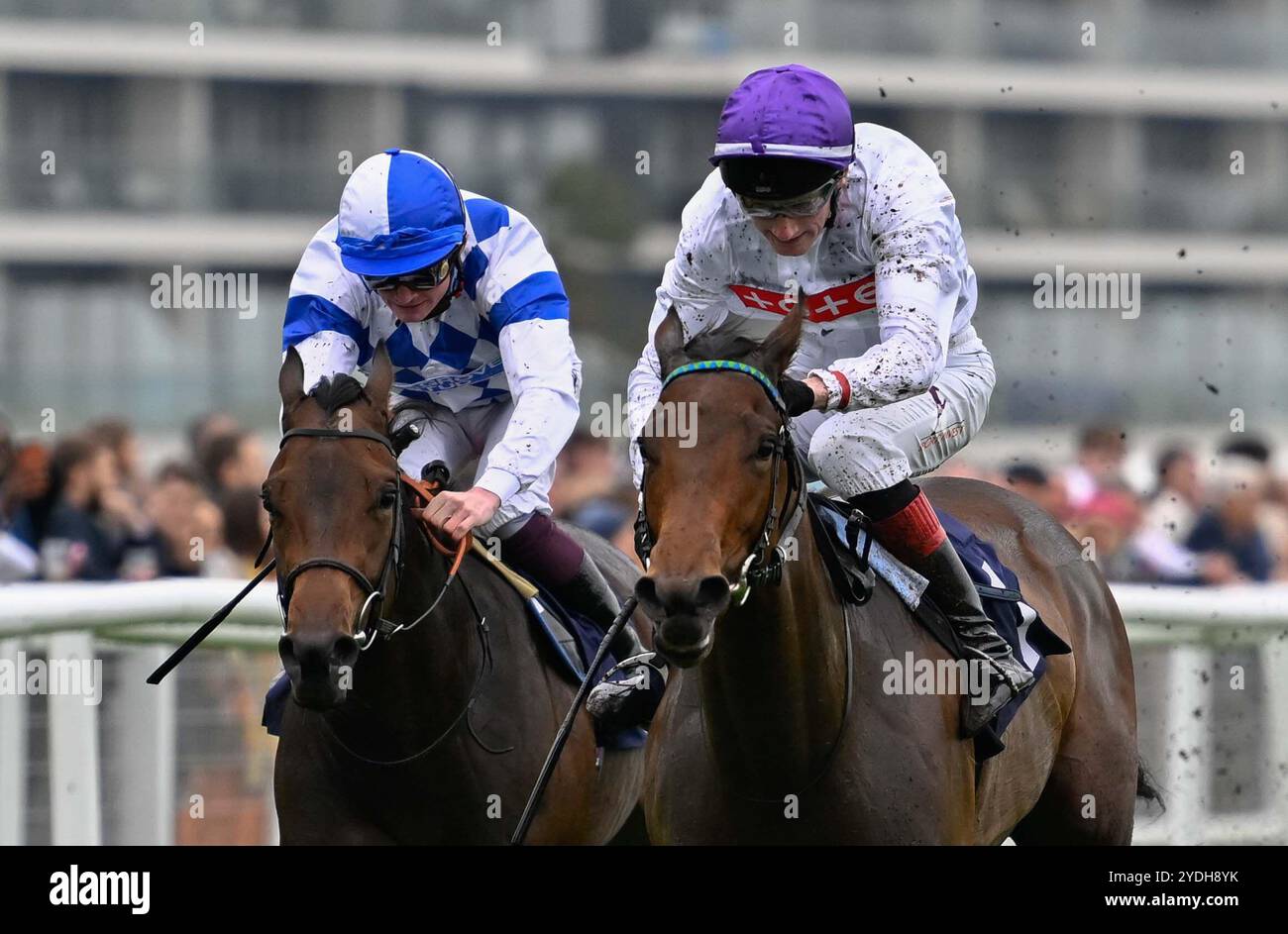 Newbury, Großbritannien, 16.08.2024, Ellaria Sand, geritten von David Egan, gewinnt die Highclere Thoroughbred Racing Stakes 14,00 auf der Newbury Racecourse, Newbury Picture von Paul Blake/Alamy Sports News Stockfoto