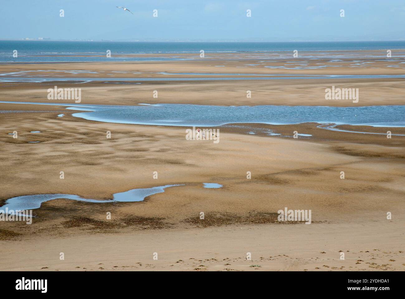 Blick auf den Strand vom Aussichtsturm in Rossall Point, Fleetwood, Lancashire, Großbritannien. Stockfoto