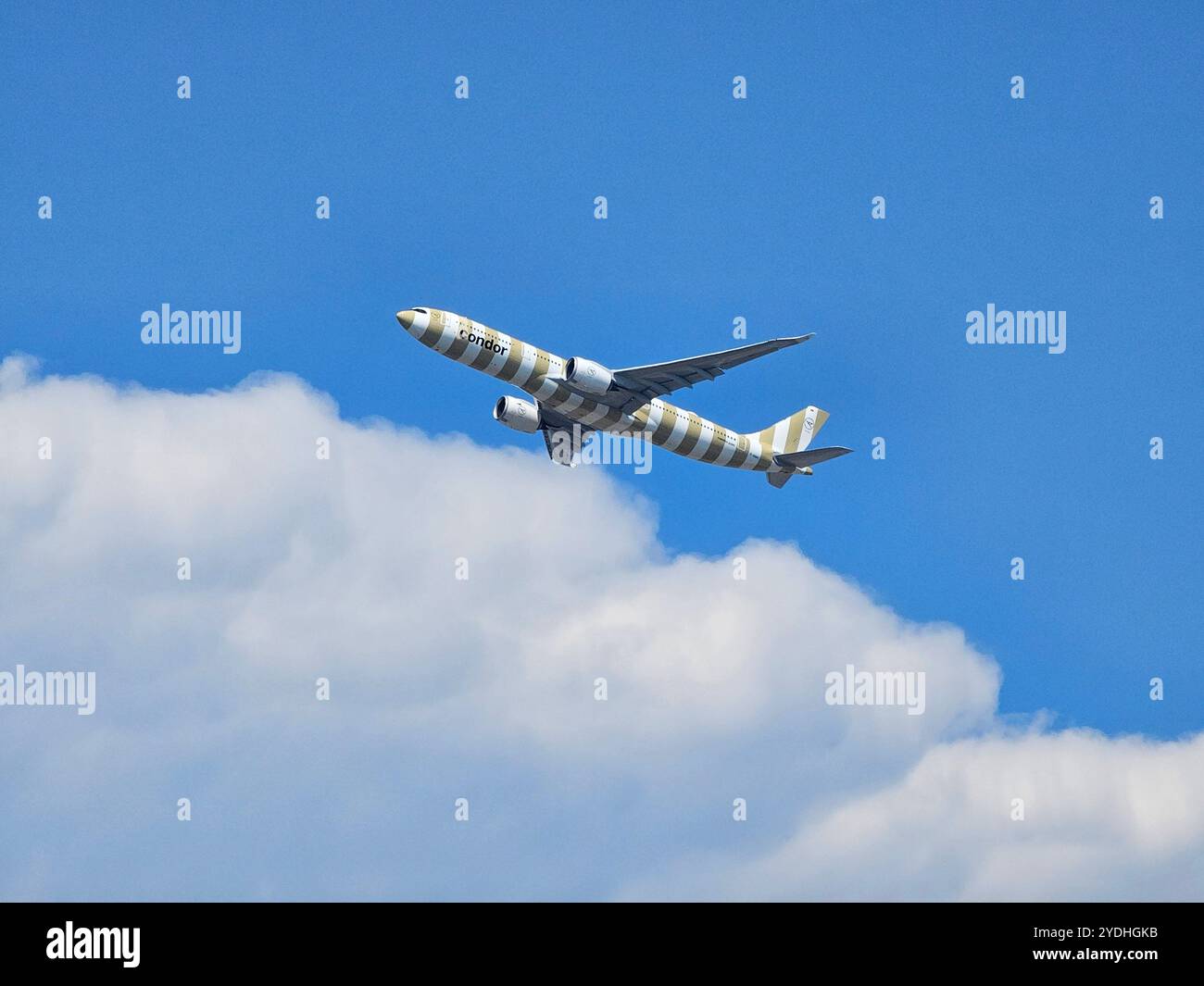 Frankfurt, Hessen, Deutschland - 13. August 2024: Condor Beige Lackierung Airbus A330-941 D-ANRP vom Flughafen Frankfurt Stockfoto