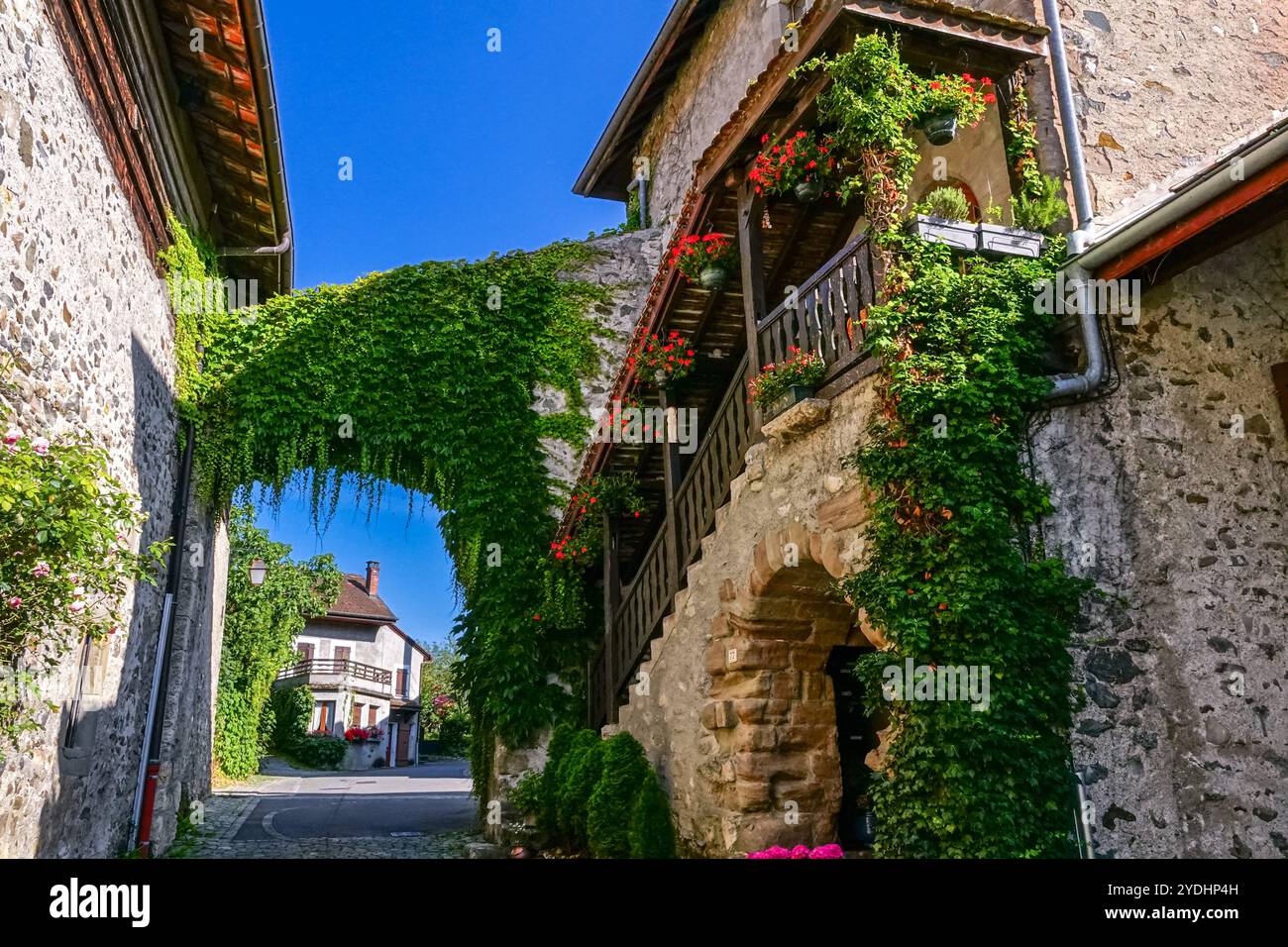 Blumen schmückten mittelalterliche Häuser am französischen Ufer des Genfer Sees im kleinen Dorf Nernier, Haute Savoie, Frankreich. Stockfoto