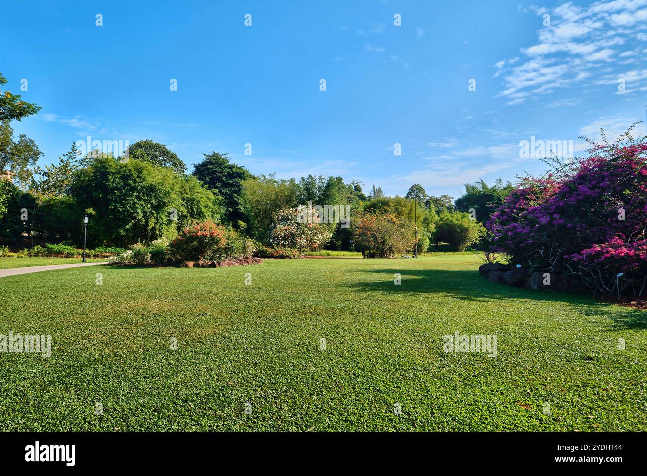 Singapur - 13. August 2024: Rasen im Botanischen Garten von Singapur Stockfoto