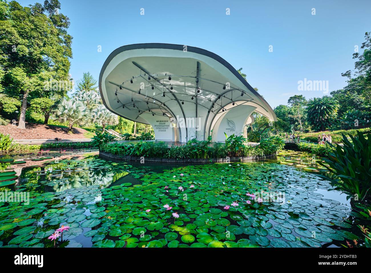 Singapur - 13. August 2024: Rasen im Botanischen Garten von Singapur Stockfoto