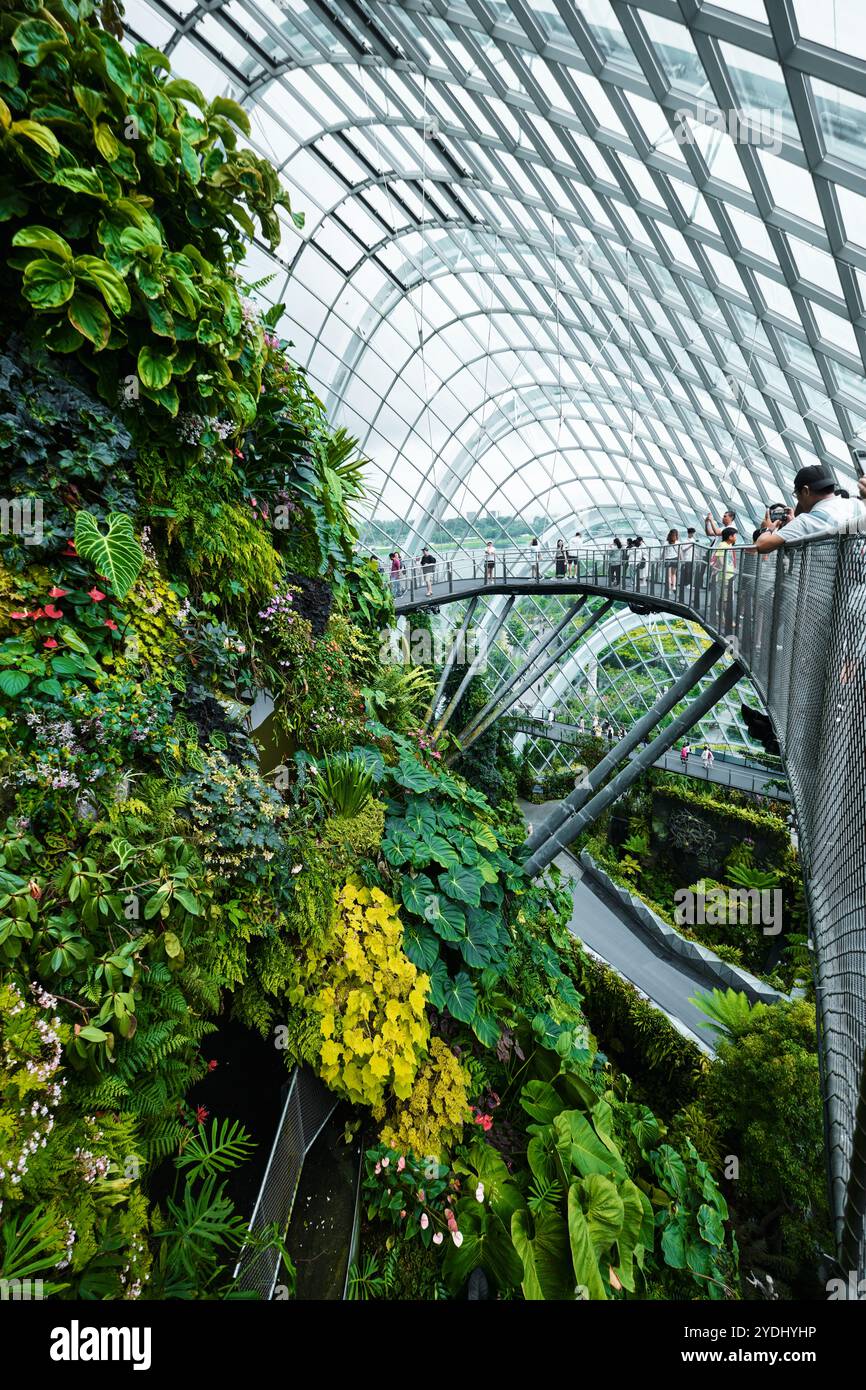 Singapur - 18. August 2024: Cloud Forest and Flower Dome Gewächshäuser in Gardens by the Bay Stockfoto
