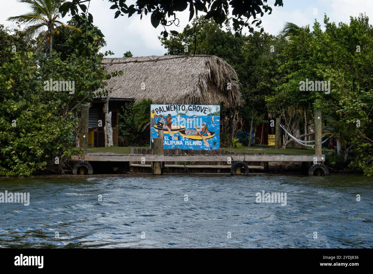 Palmento Grove auf Kalipuna Island in Hopkins, Belize Stockfoto