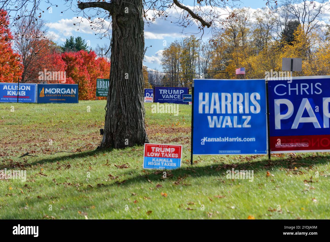 Politische Zeichen für die Präsidentschaftswahlen 2024 an einem sonnigen Herbsttag in New Hampshire. Harris vor Trump. Stockfoto