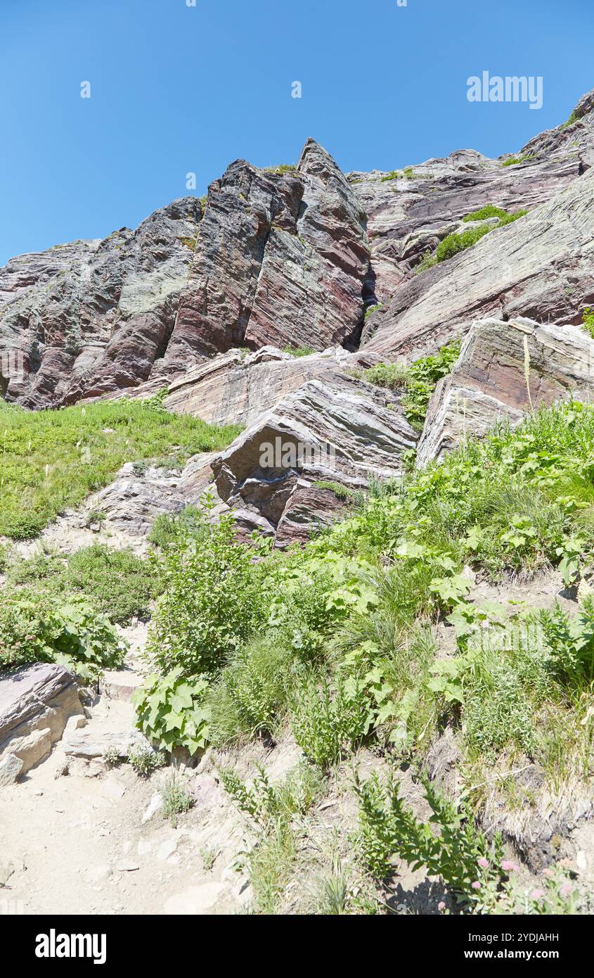 Während der Grinnell Glacier Wanderung erleben Sie einen Blick auf türkisfarbene Seen, begegnen Wasserfällen und beenden die Wanderung am Gletscher selbst. Stockfoto