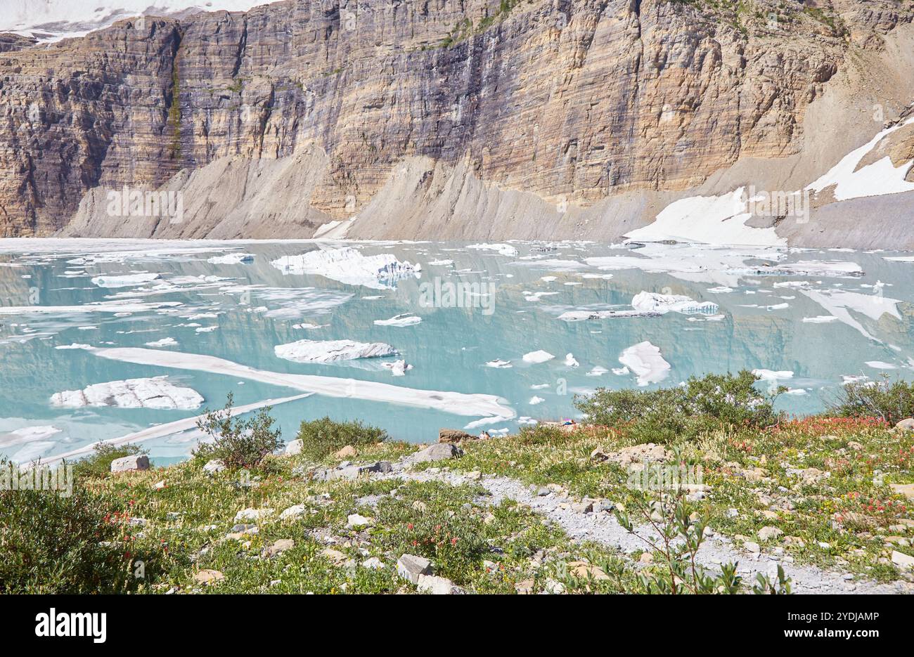 Während der Grinnell Glacier Wanderung erleben Sie einen Blick auf türkisfarbene Seen, begegnen Wasserfällen und beenden die Wanderung am Gletscher selbst. Stockfoto