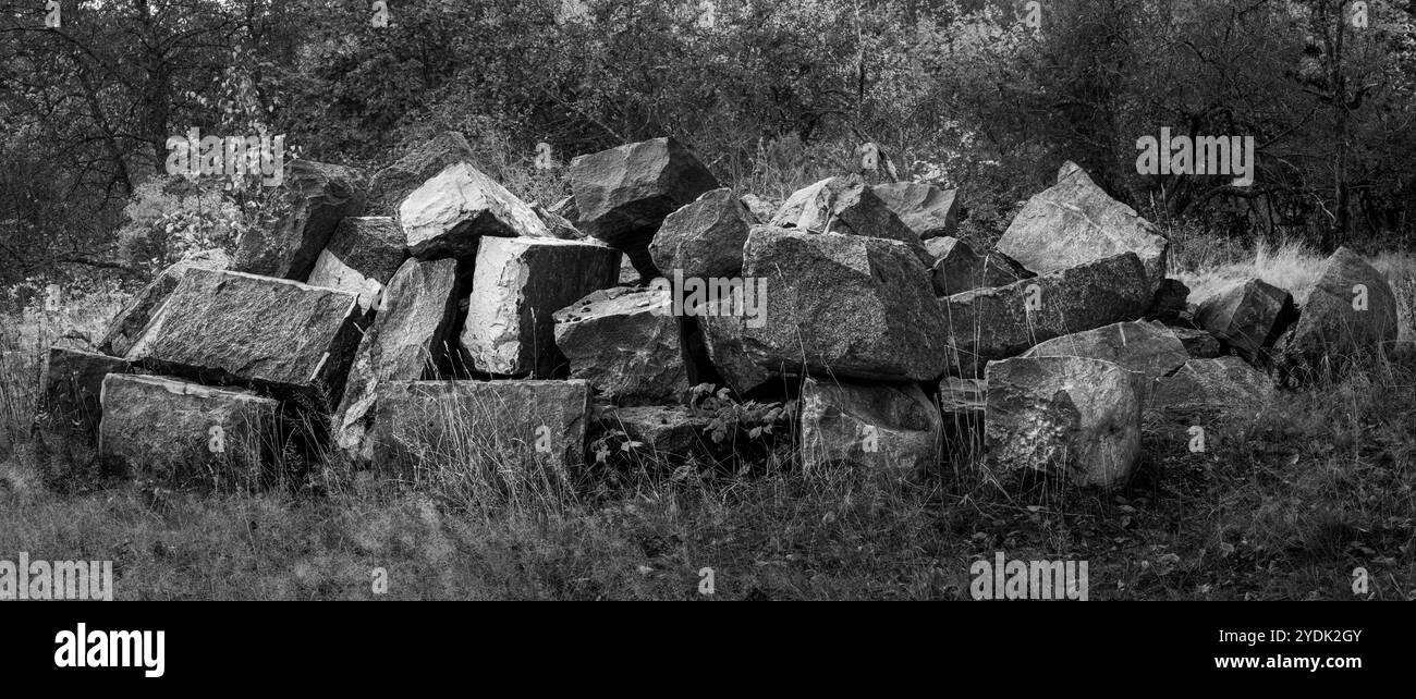 Ein Haufen von Sprengfelsen, die in einer Waldlichtung in einem schwarz-weißen Panorama liegen Stockfoto