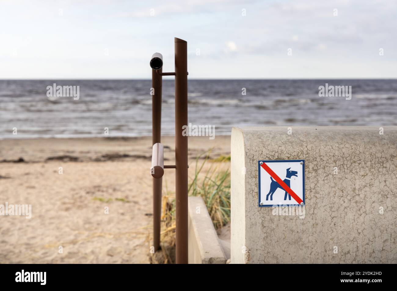 Am öffentlichen Strand gibt es kein Schild mit Hunden Stockfoto