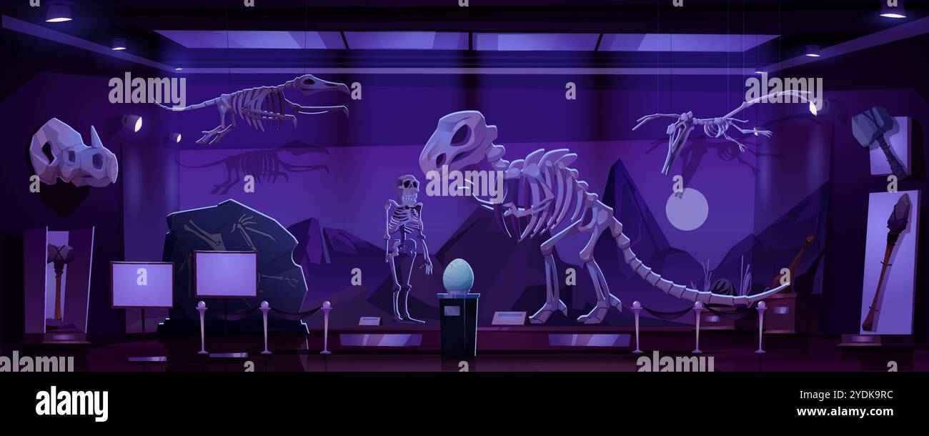 Museumsausstellung mit Dinosaurierskeletten und Artefakten unter violetter Beleuchtung bei Nacht. Cartoon Vektor archäologische Galerie mit großem Raptor Rücken Stock Vektor