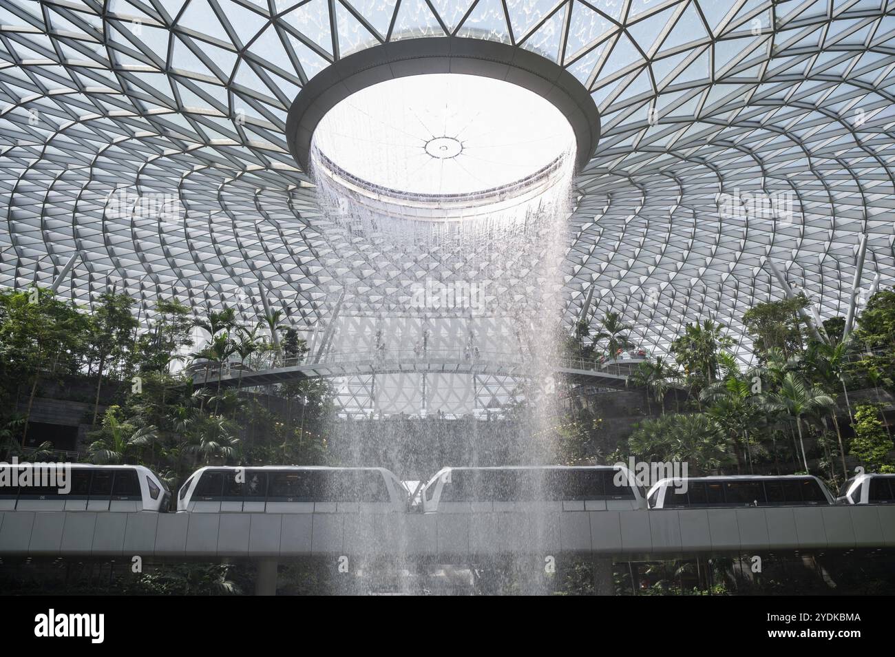 31.07.2023, Singapur, Republik Singapur, Asien, zwei Züge des vollautomatischen Skytrain fahren durch den Innengarten des Shiseido Forest Valley Stockfoto