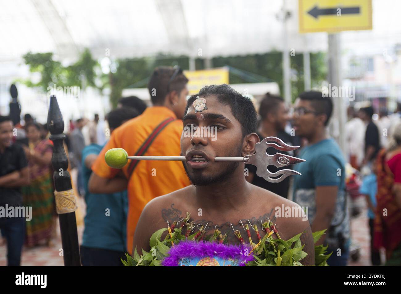 31/01/2018, Singapur, Republik Singapur, Asien, die Wangen Eines hinduistischen Mannes werden mit einem Metallspieß durchstochen, während er sich auf das Thaipusam festi vorbereitet Stockfoto