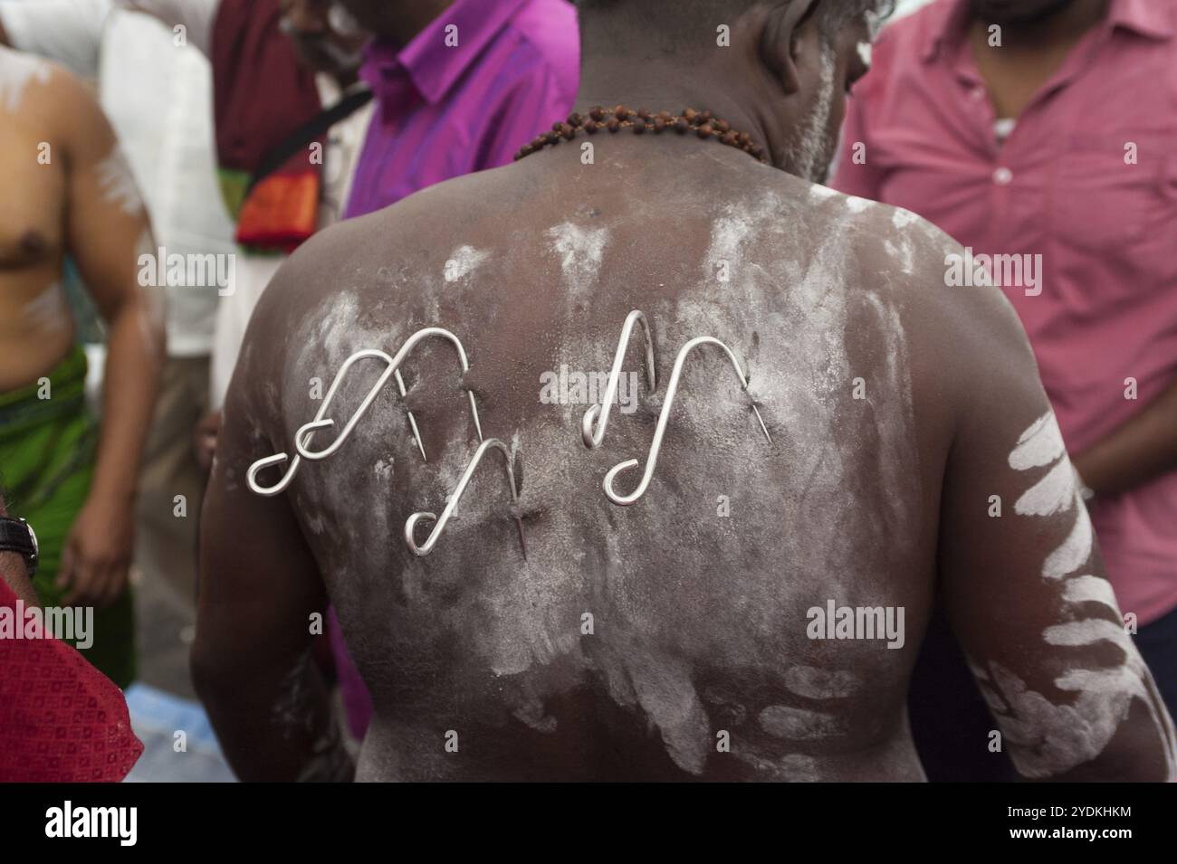 31.01.2018, Singapur, Republik Singapur, während er sich auf das Thaipusam-fest vorbereitet, wird die Haut eines hinduistischen Mannes mit Haken im Rücken durchstochen Stockfoto