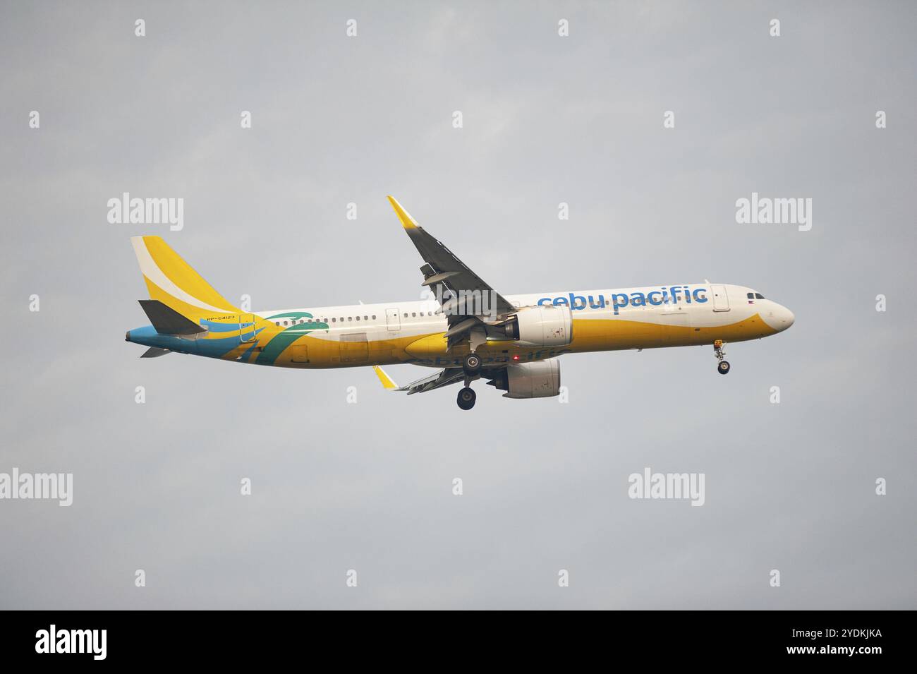 02.08.2023, Singapur, Republik Singapur, Asien, ein Passagierflugzeug des Typs Airbus A321 Neo der philippinischen Fluggesellschaft Cebu Pacific Air mit der Registra Stockfoto