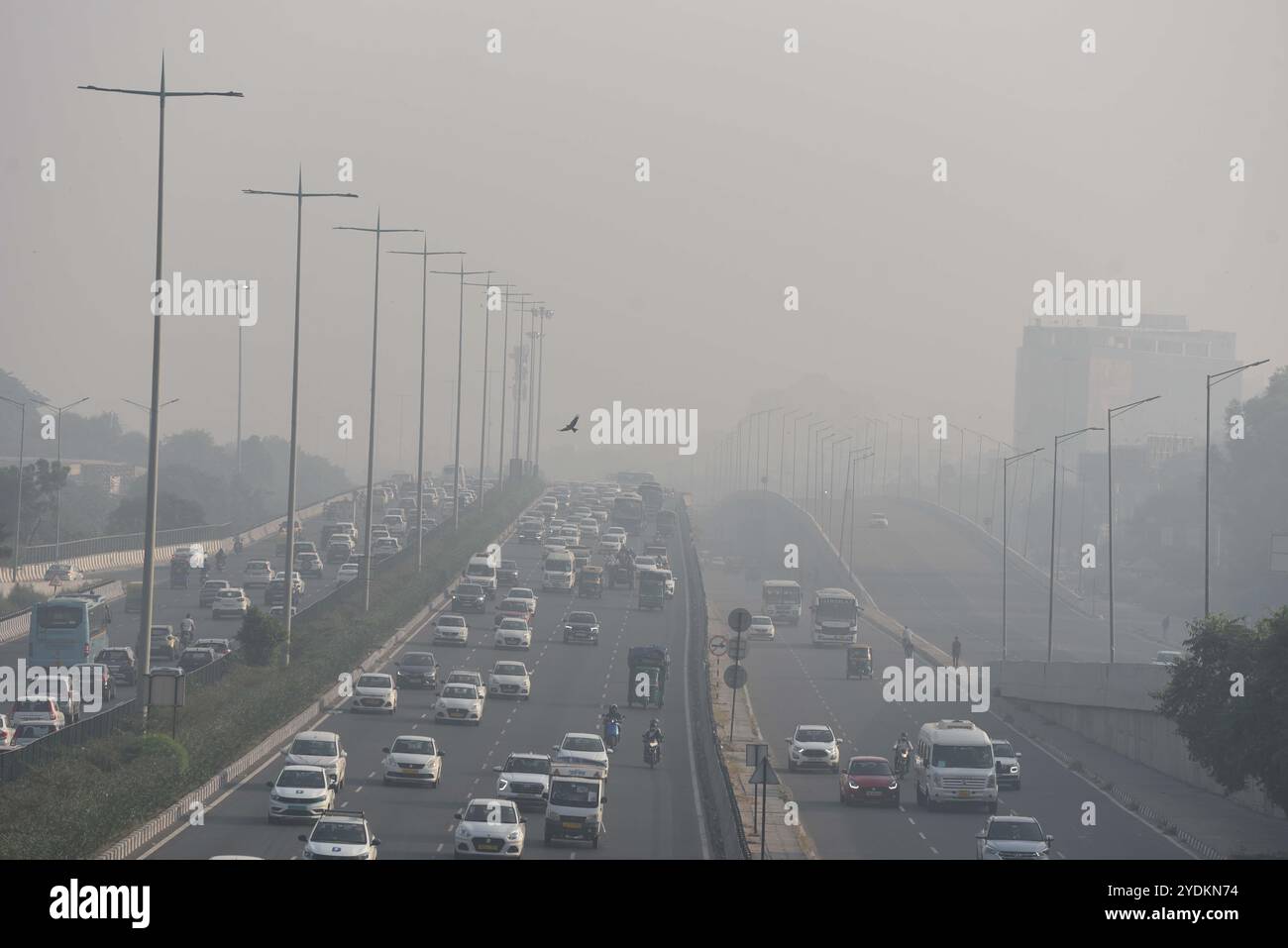 Neu-Delhi, Indien. Oktober 2024. GURUGRAM, INDIEN - 24. OKTOBER: Ein Blick auf das trübe Wetter am National Highway-48 IFFCO chowk Überflug nahe Sektor-29, am 24. Oktober 2024 in Gurugram, Indien. Die Luftverschmutzung in mehreren Gebieten Delhis ist nach wie vor in der Kategorie „sehr schlecht“. Die Verschmutzungswerte in mehreren Regionen der Landeshauptstadt fielen gemäß der Luftqualitätsüberwachung AQICN in die Kategorie „gefährlich“. (Foto: Parveen Kumar/Hindustan Times/SIPA USA) Credit: SIPA USA/Alamy Live News Stockfoto