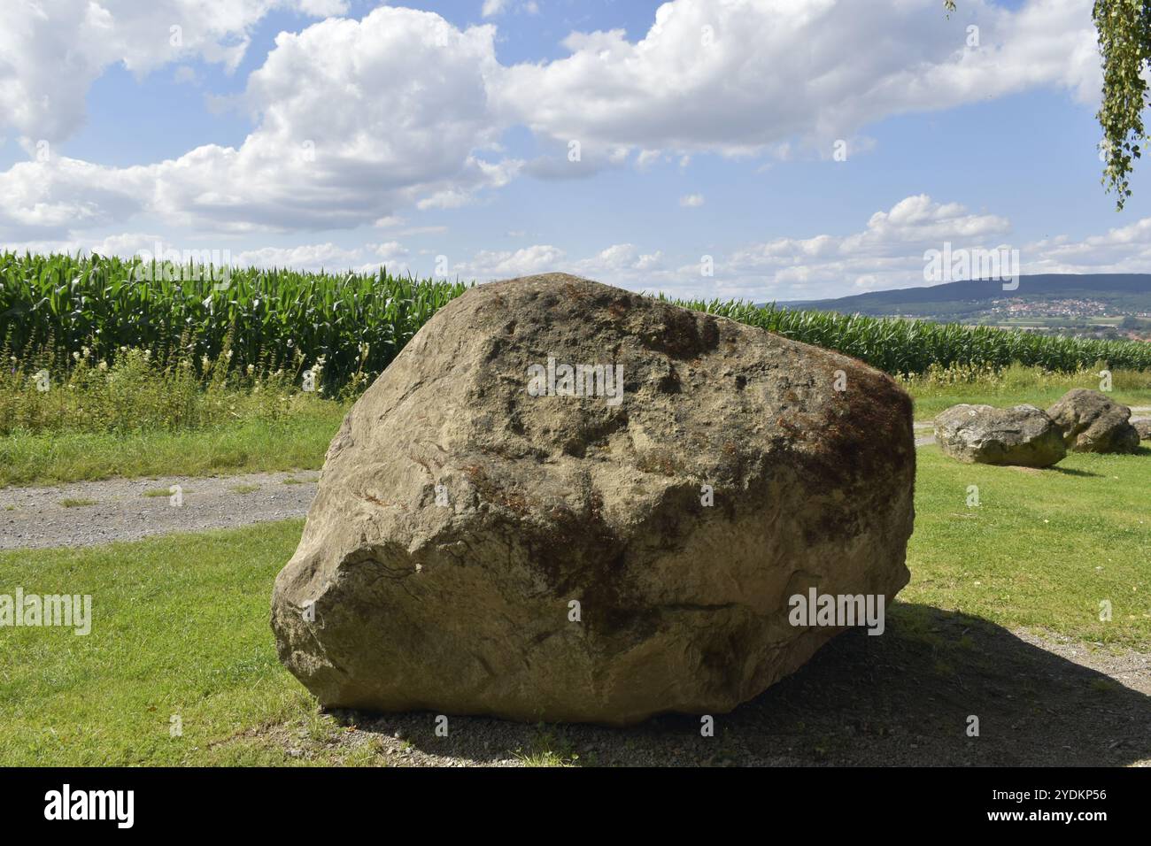 Erratic block -Fotos und -Bildmaterial in hoher Auflösung – Alamy