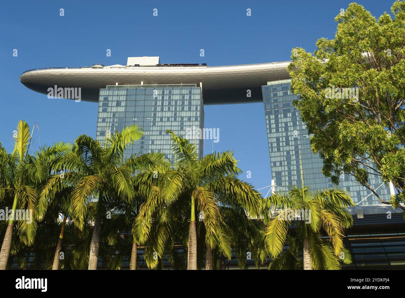 06.05.2019, Singapur, Republik Singapur, Asien, Palmen vor dem Marina Bay Sands Hotel mit seiner ikonischen Dachterrasse, Asien Stockfoto