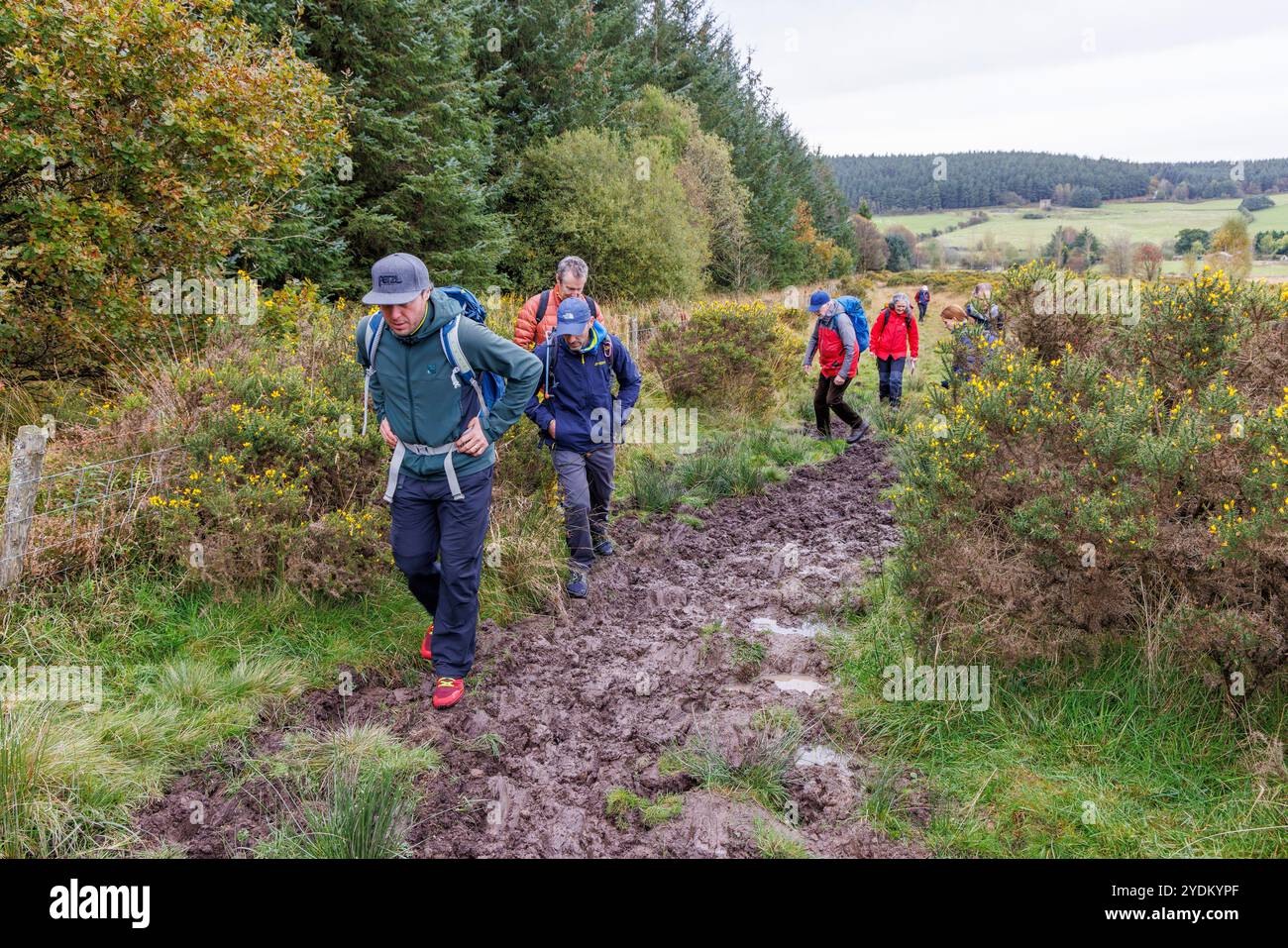 Spaziergänger auf schlammigen Pfaden, Stapeley Hill, Shropshire, Großbritannien Stockfoto