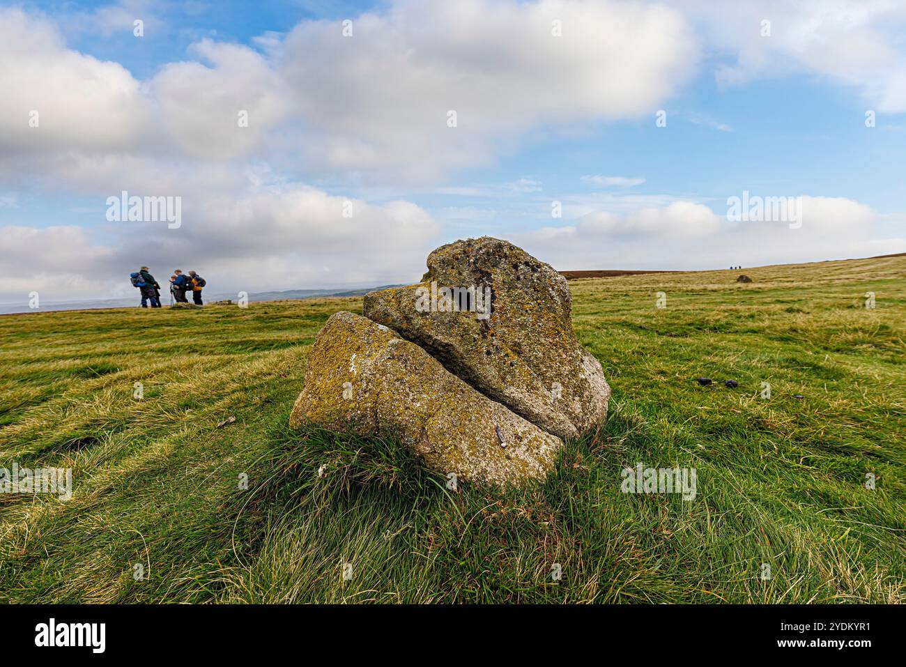Stein mit Spaltung in Mitchell's Fold Stone Circle, Stapeley Hill, Shropshire, Großbritannien Stockfoto