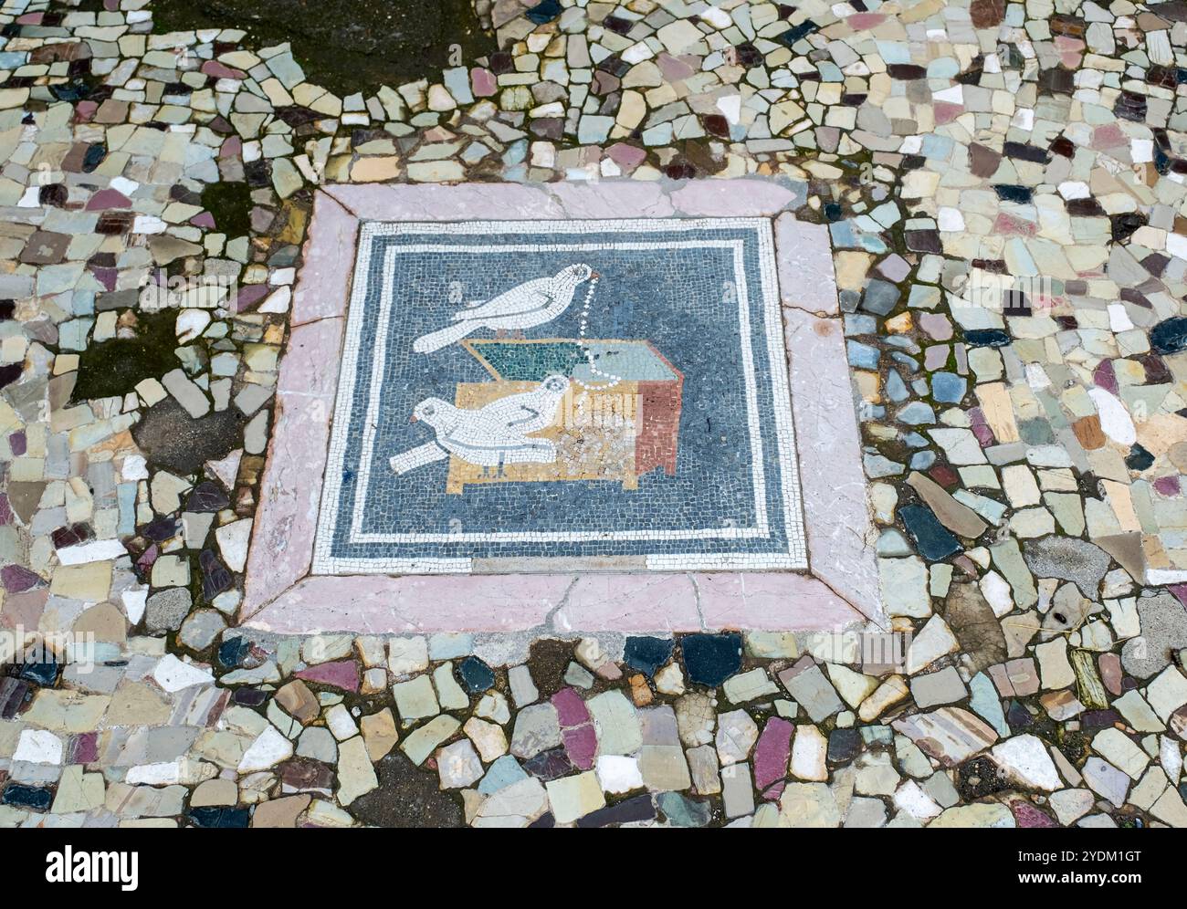 Bodenmosaik mit Tauben, die eine Halskette aus einer Schmuckschatulle ziehen. Auf der Westseite des Atriums, Haus Faun, Pompeji, Italien Stockfoto