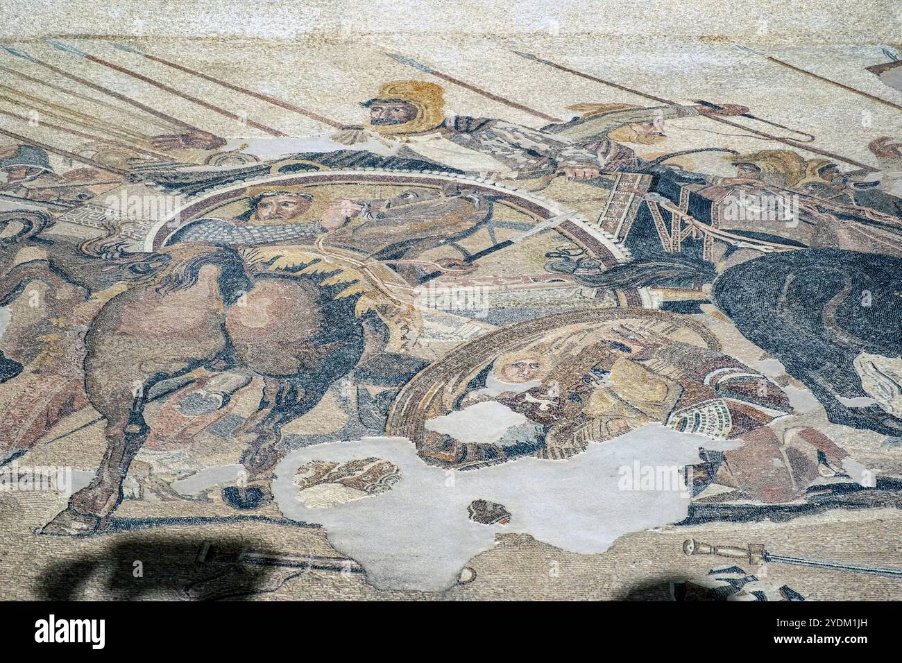Abschnitt eines Mosaiks im Haus des Faun, Pompeji, Italien, der Darius III. Von Persien zeigt, wie er versucht, seinen Wagen gegen Alexander den Großen zu drehen. Stockfoto