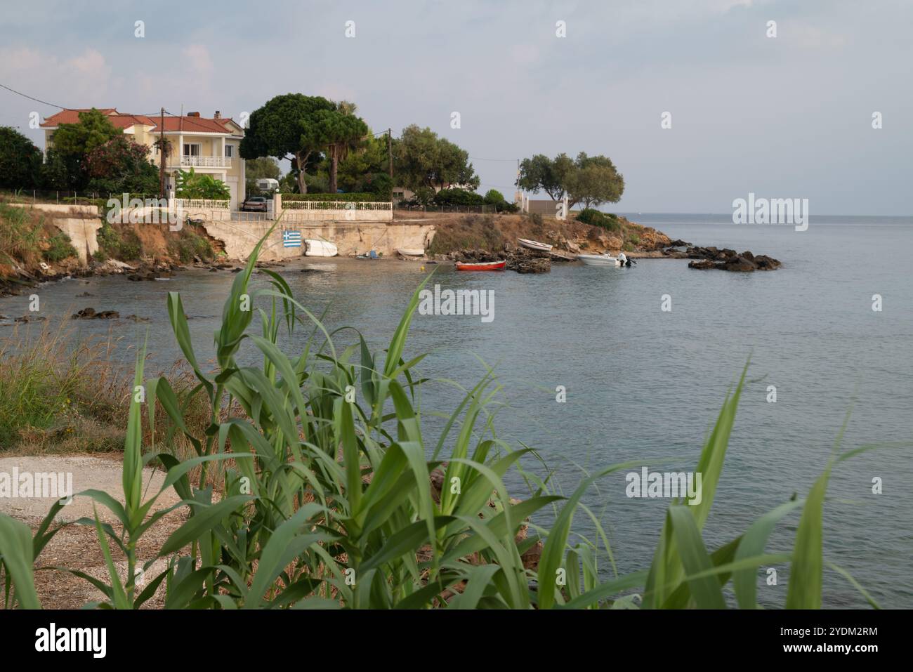 Haus an der Küste umgeben von maritimen Kiefern in der Nähe eines Piers mit kleinen Booten, die vor Anker liegen und drei andere aus dem Wasser gezogen werden Stockfoto