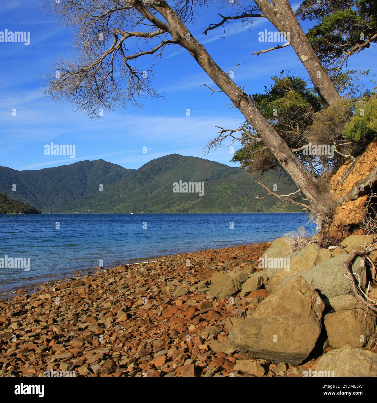 Endeveaour Inlet, Bucht in den Marlborough Sounds, Neuseeland. Stockfoto