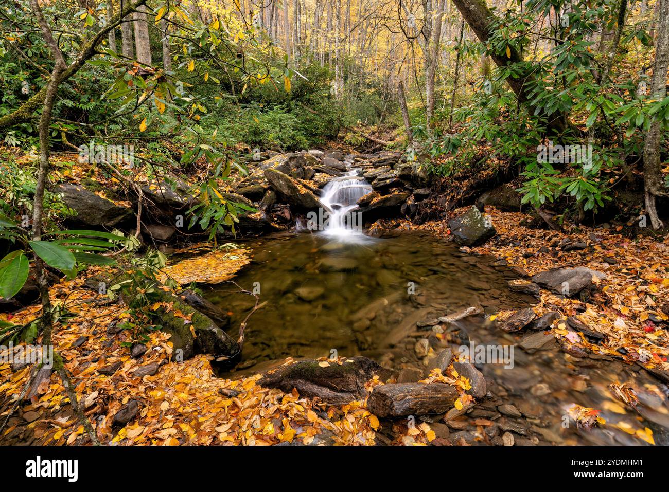 Kleine Kaskade im Pisgah National Forest in der Nähe von Brevard, North Carolina, USA Stockfoto