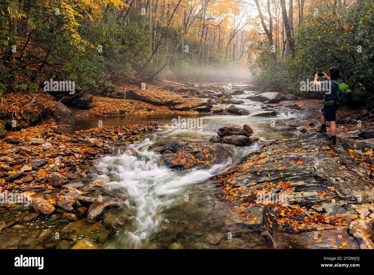 Wanderer, der Handyfotos von einer fließenden Kaskade auf dem Davidson River - Pisgah National Forest in der Nähe von Brevard, North Carolina, USA macht Stockfoto