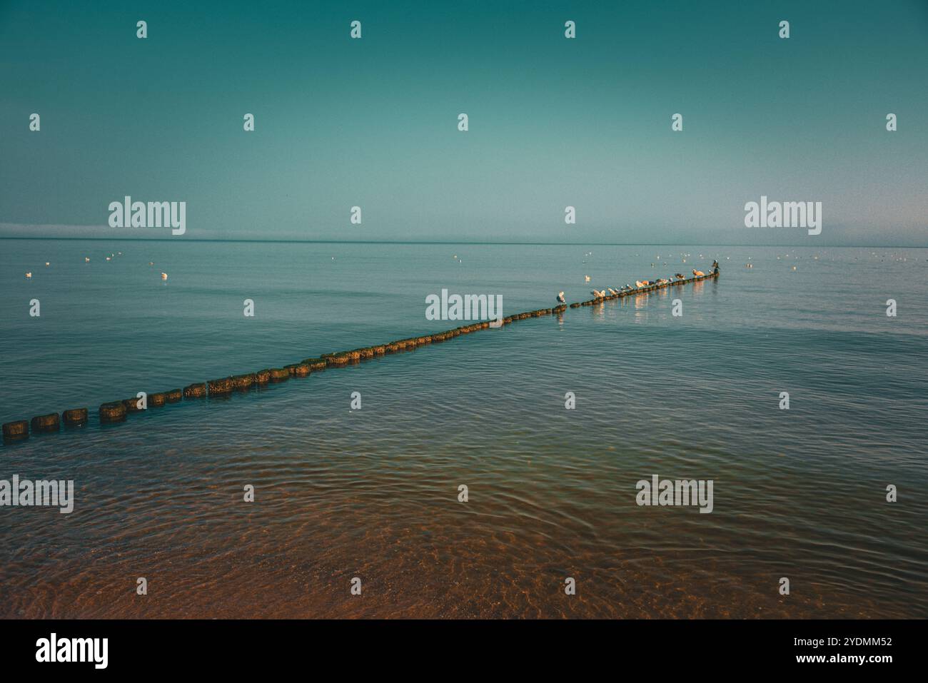 Ostseestrand, Usedom, Rügen, Deutschland, Europa Stockfoto