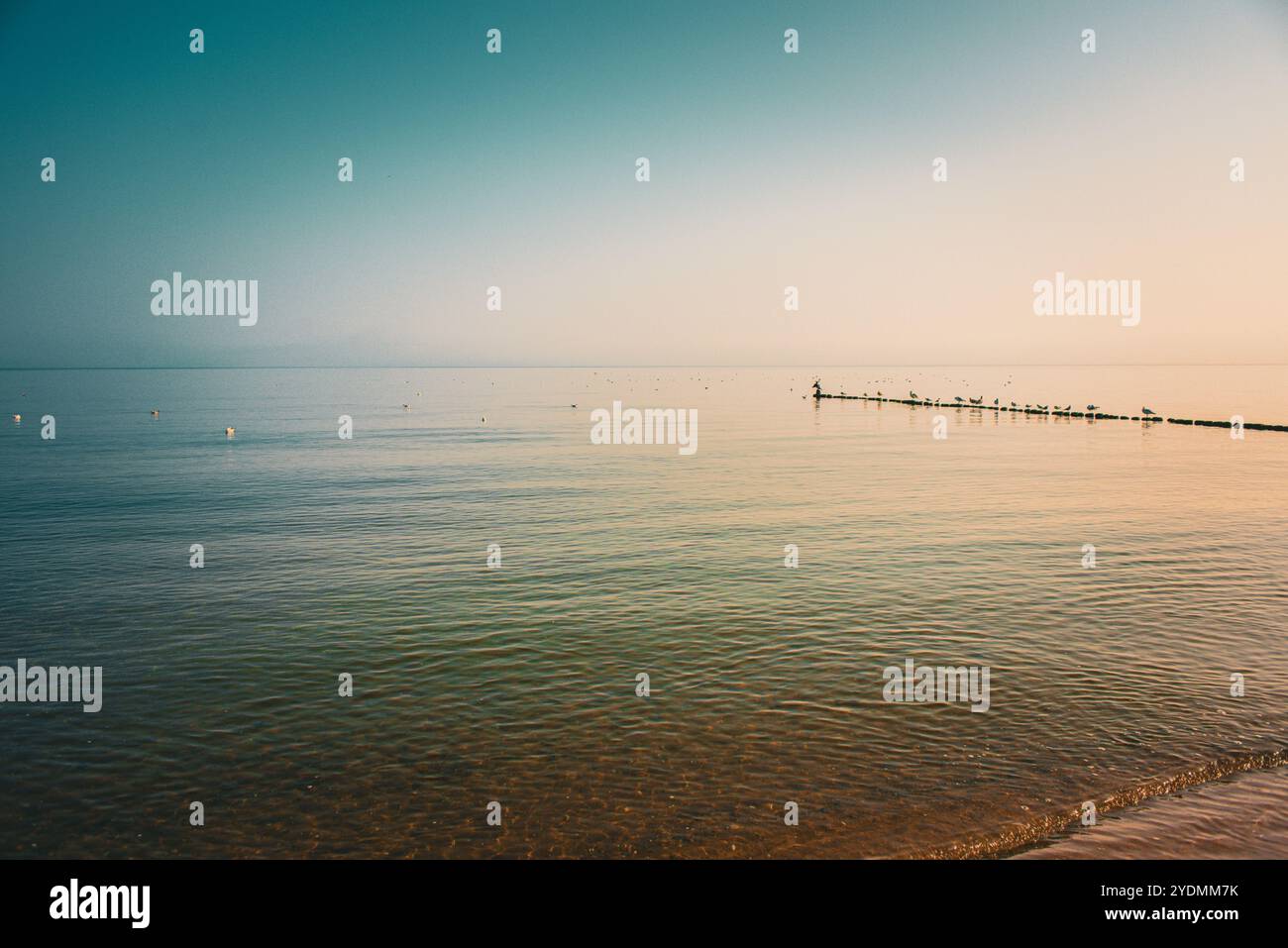 Ostseestrand, Usedom, Rügen, Deutschland, Europa Stockfoto