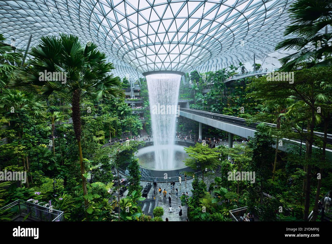 Singapur - 12. August 2024: Tropischer Indoor-Garten und Wasserfall im Einkaufszentrum Jewel am Flughafen Changi, entworfen von Safdie Architects Stockfoto