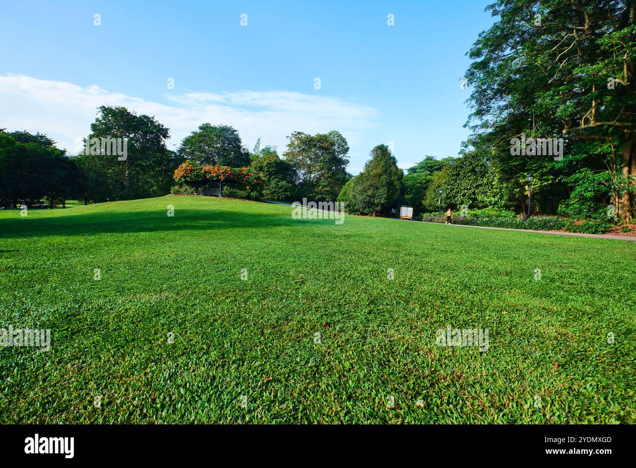 Singapur - 13. August 2024: Rasen im Botanischen Garten von Singapur Stockfoto