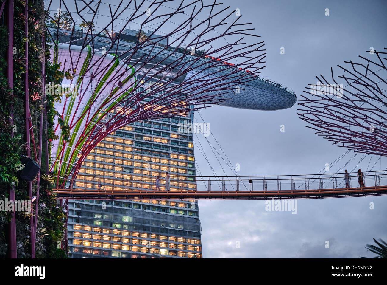 Singapur - 14. August 2024: The Supertree Grove at Gardens by the Bay and Marina by Sand Luxury Hotel Stockfoto