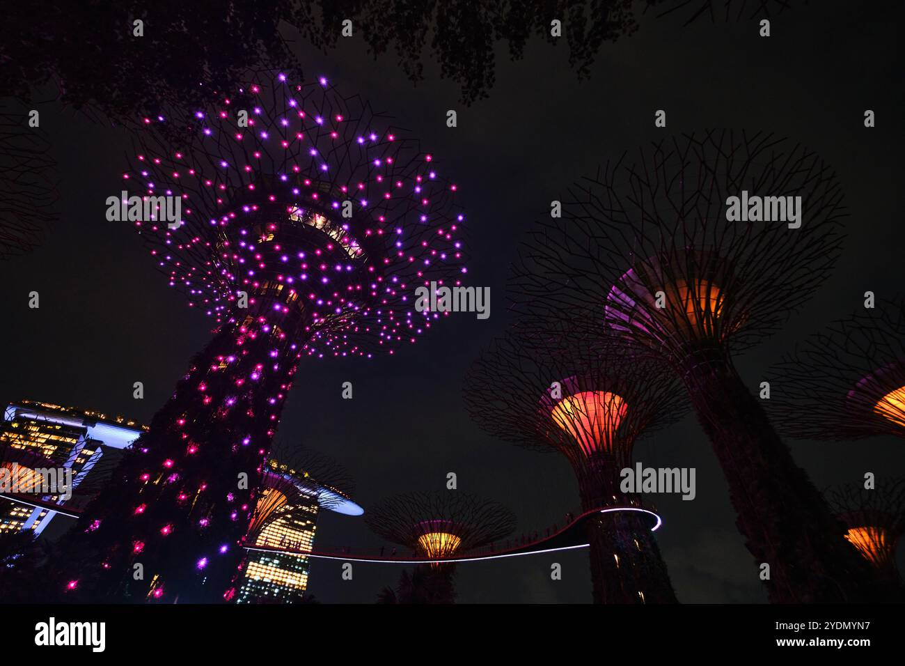 Singapur - 14. August 2024: Lichtershow von Giant Trees at Garden by the Bay at Night in Singapur. Berühmtes Wahrzeichen und beliebt für den Tourismus Stockfoto
