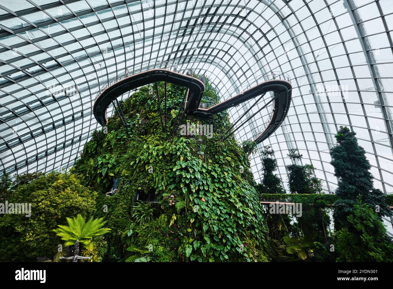 Singapur - 18. August 2024: Cloud Forest and Flower Dome Gewächshäuser in Gardens by the Bay Stockfoto