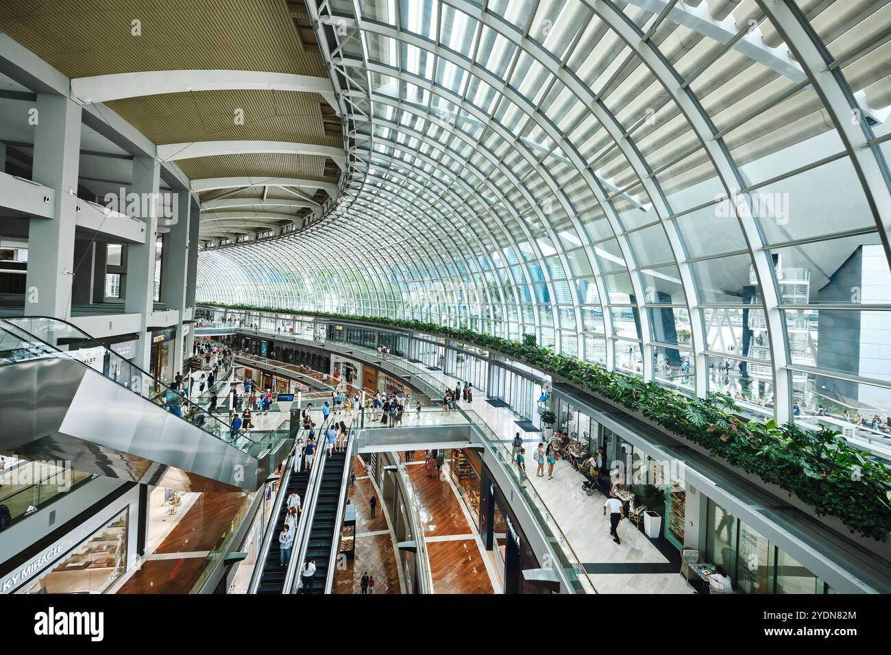 Singapur - 14. August 2024: Inneres des Einkaufszentrums im Marina Bay Sands Stockfoto