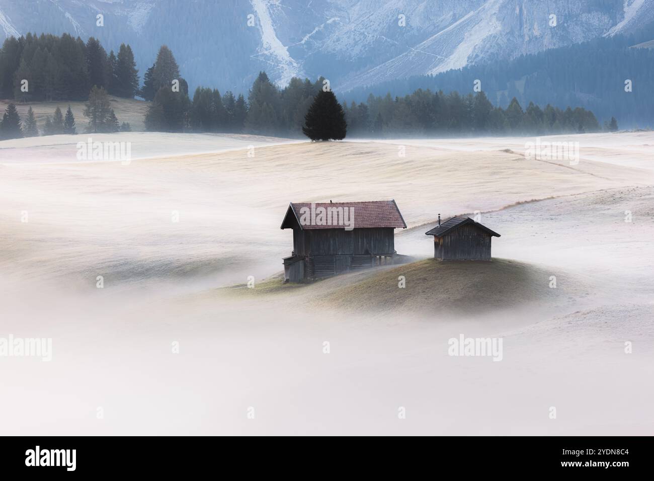 Idyllische Almwiese an einem stimmungsvollen, nebeligen, frostigen Morgen auf der Seiser Alm mit urigen Hütten und Blick auf die Dolomitenmoun Stockfoto