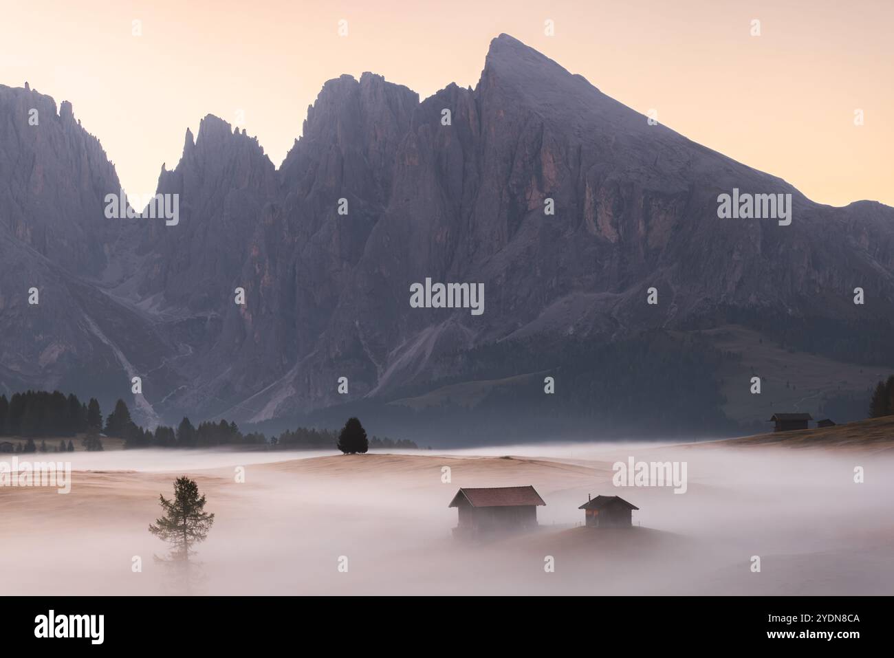 Idyllische Almwiese bei stimmungsvollem, atmosphärischem und nebeligem Sonnenaufgang auf der Seiser Alm mit urigen Hütten und Blick auf die Dolomiten Stockfoto