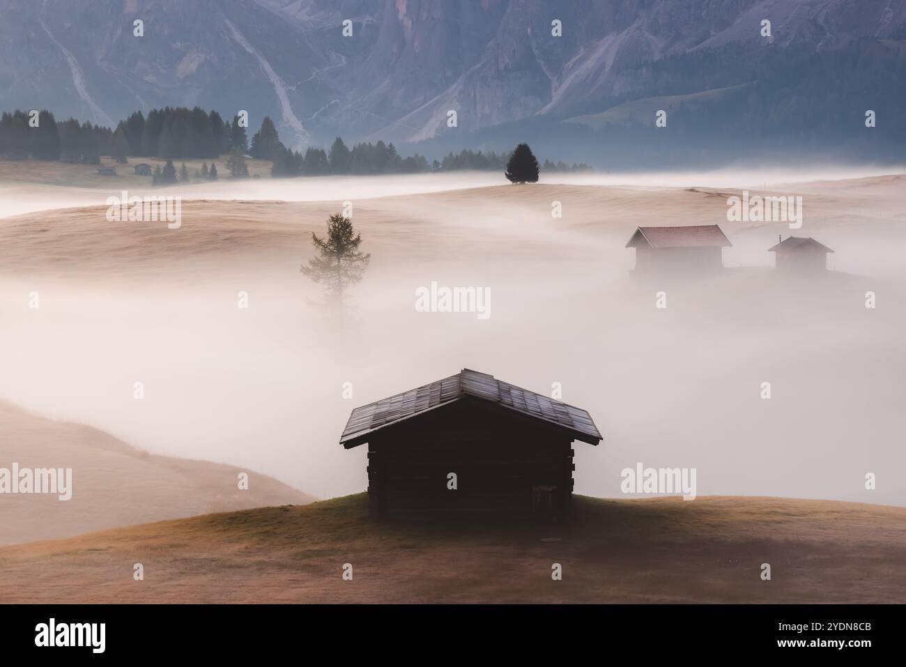 Idyllische Almwiese bei stimmungsvollem, atmosphärischem und nebeligem Sonnenaufgang auf der Seiser Alm mit urigen Hütten und Blick auf die Dolomiten Stockfoto