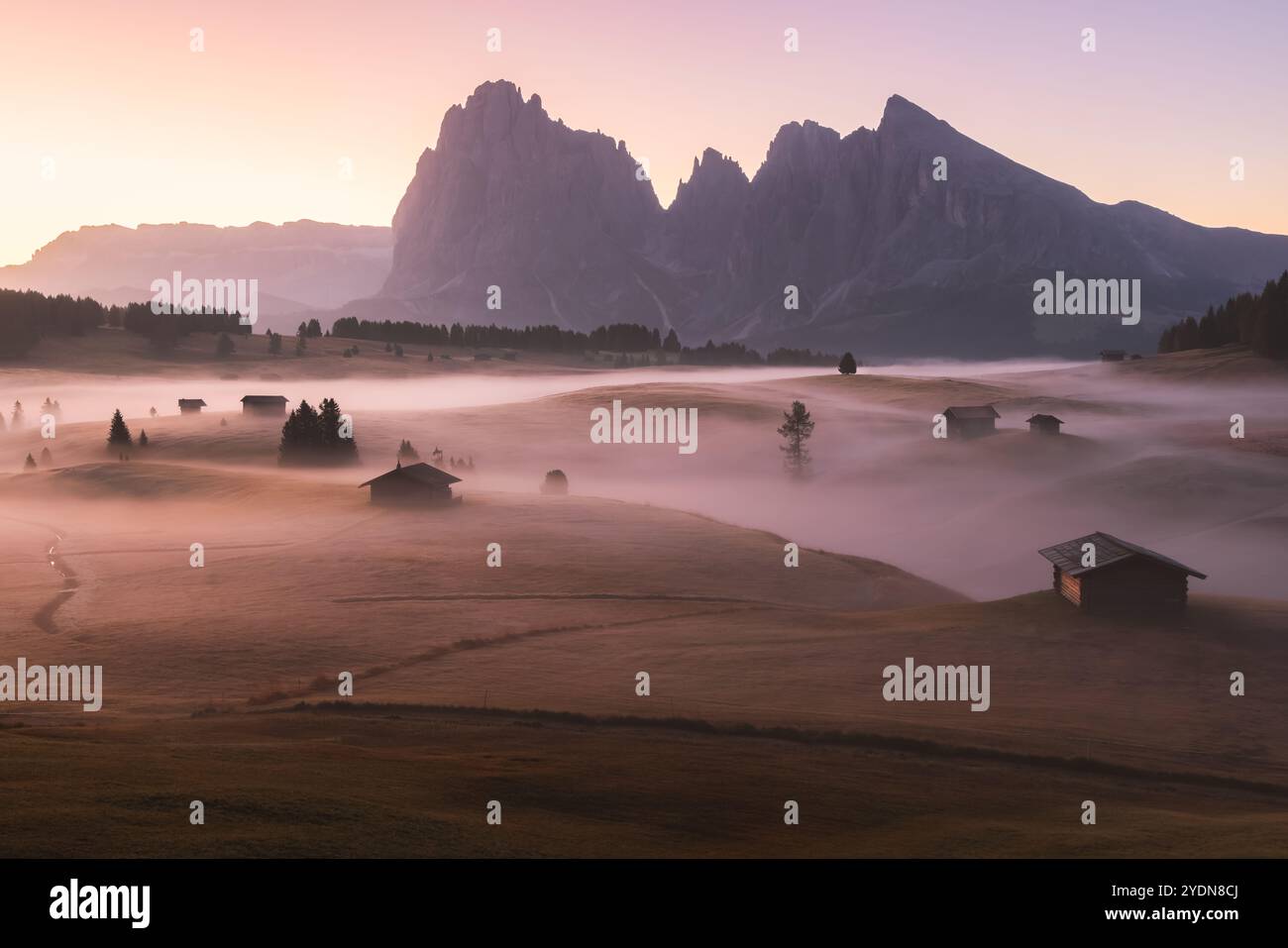 Idyllische Almwiese bei stimmungsvollem, atmosphärischem und nebeligem Sonnenaufgang auf der Seiser Alm mit urigen Hütten und Blick auf die Dolomiten Stockfoto