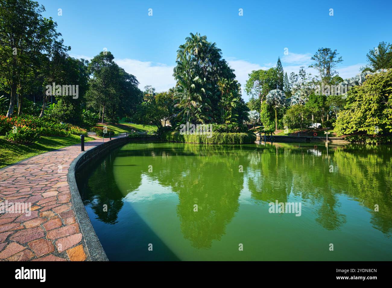 Singapur - 13. August 2024: See in den Botanischen Gärten von Singapur Stockfoto