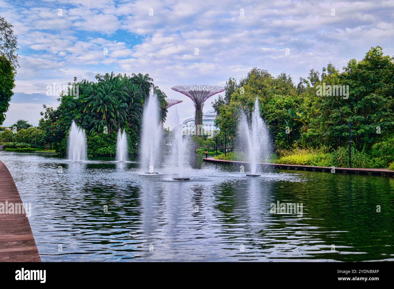 Singapur - 19. August 2024: Dragonfly Lake im Botanischen Garten, Gardens by the Bay Stockfoto