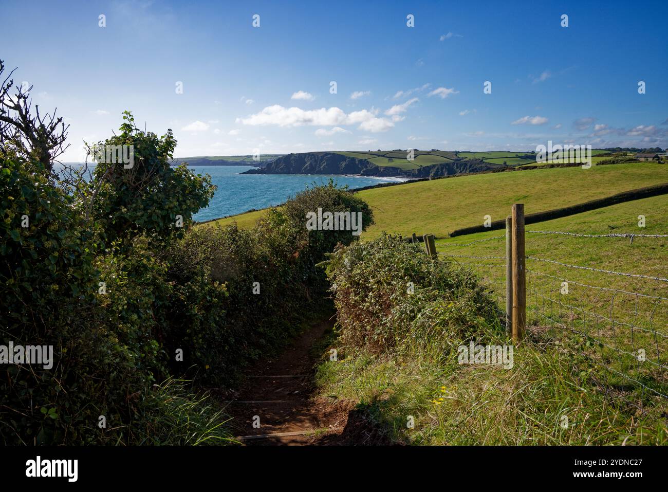 Der SW Coast Path durchquert Felswände in der Nähe von Pentewan, St Austell, Cornwall. Stockfoto