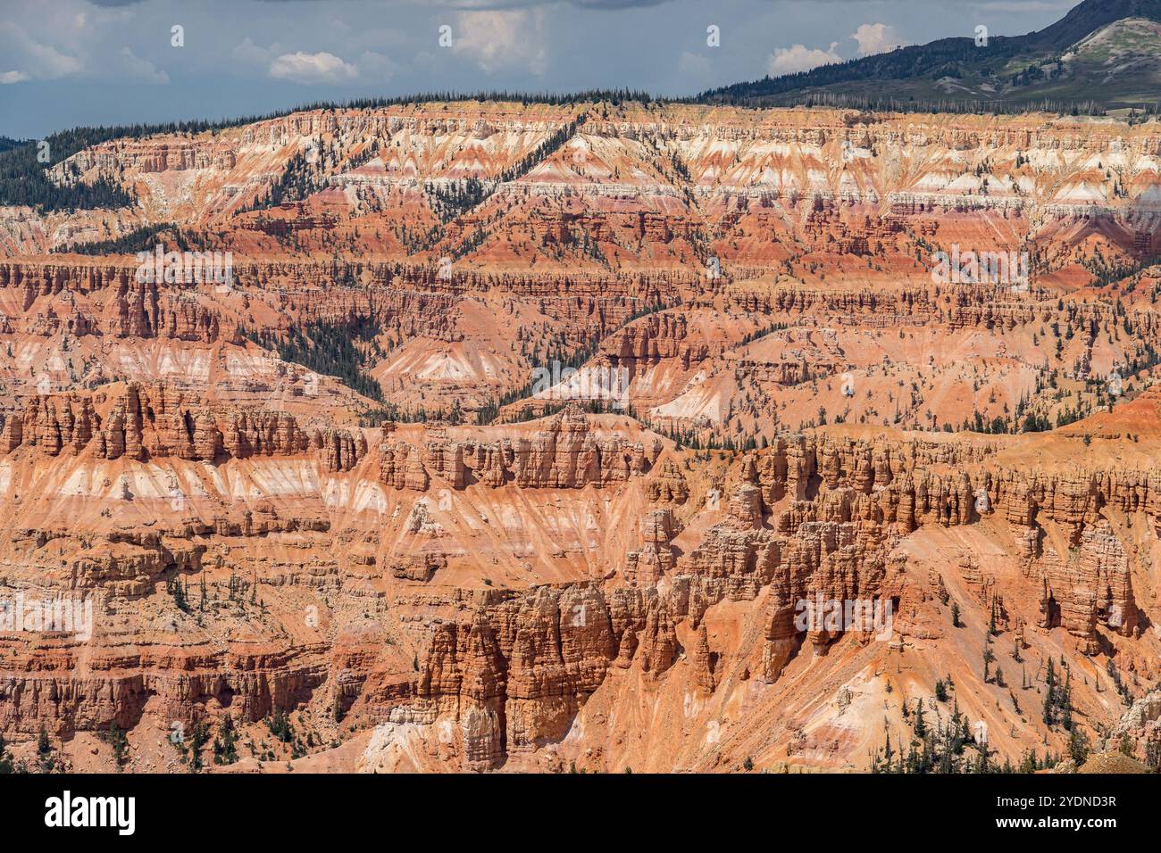 Panoramablick auf das Cedar Breaks National Monument vom Wall Trail entlang des Amphitheaters Stockfoto