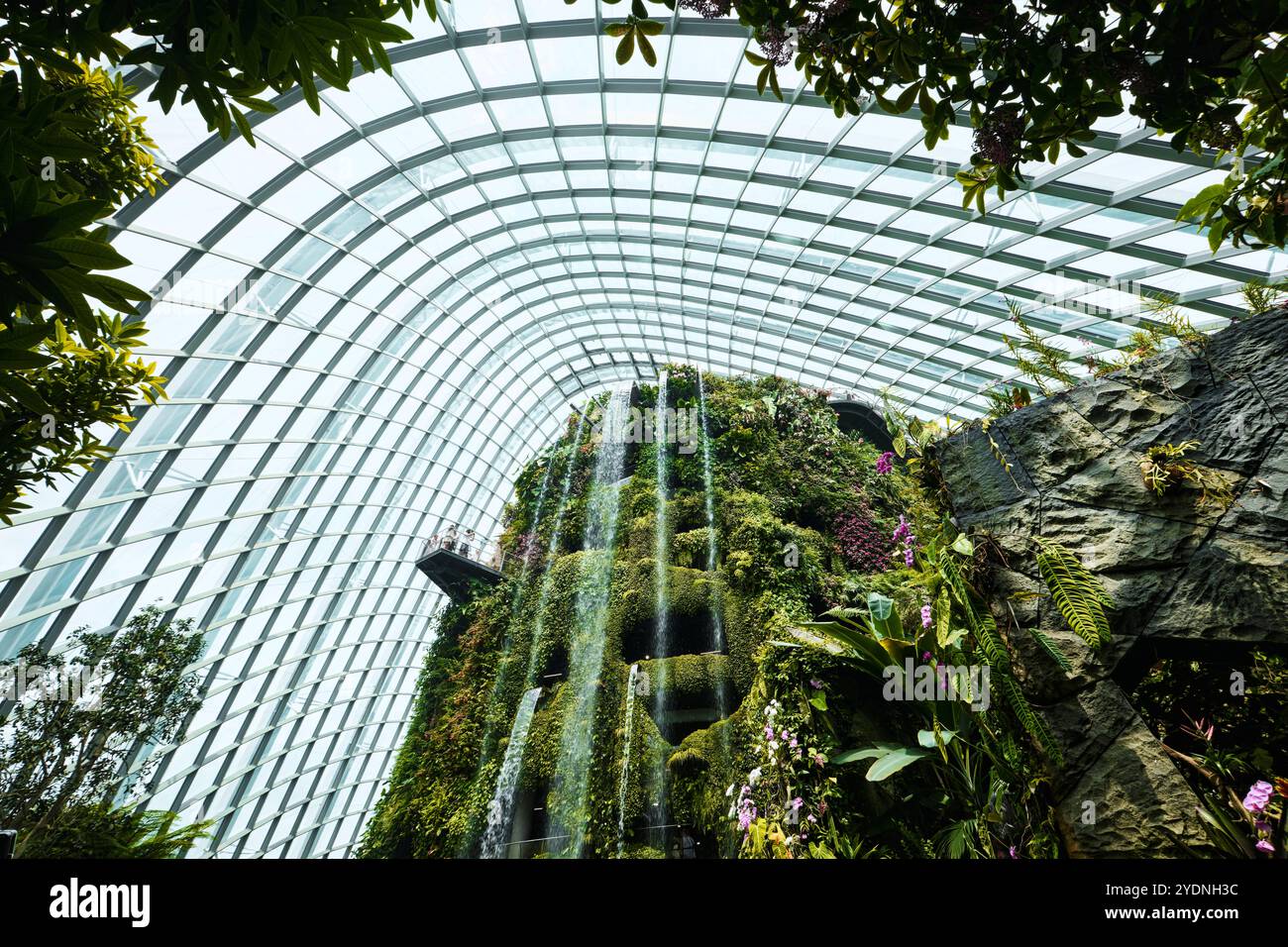 Singapur - 18. August 2024: Cloud Forest and Flower Dome Gewächshäuser in Gardens by the Bay Stockfoto